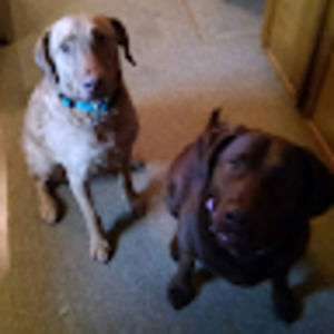 Meet your Posher, Andi